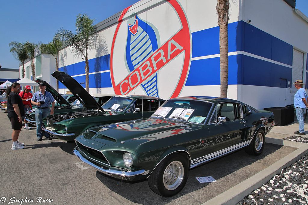 Shelby.com