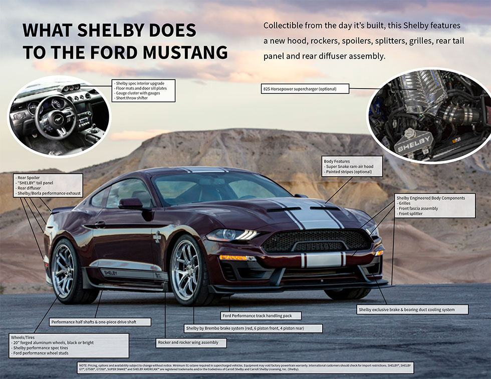 Shelby_Supersnake_Web_Data_Sheet