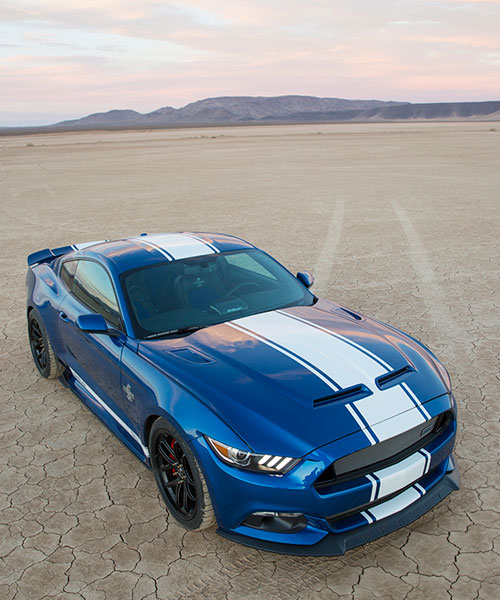 2017 50th Anniversary Super Snake