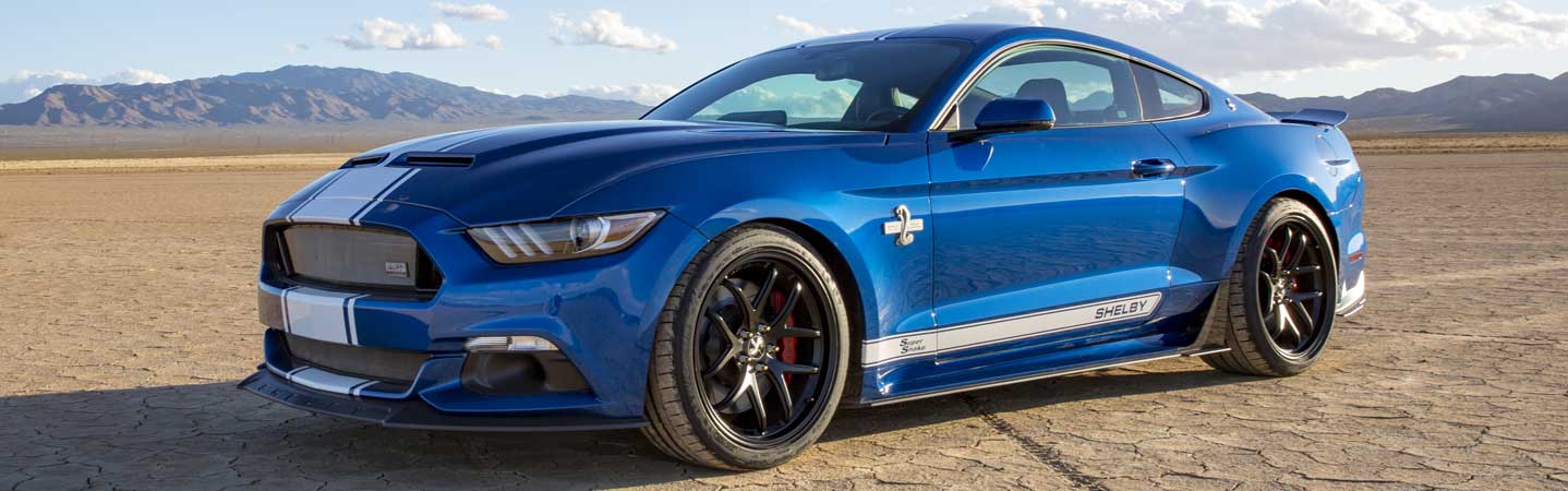 2017 50th Anniversary Super Snake