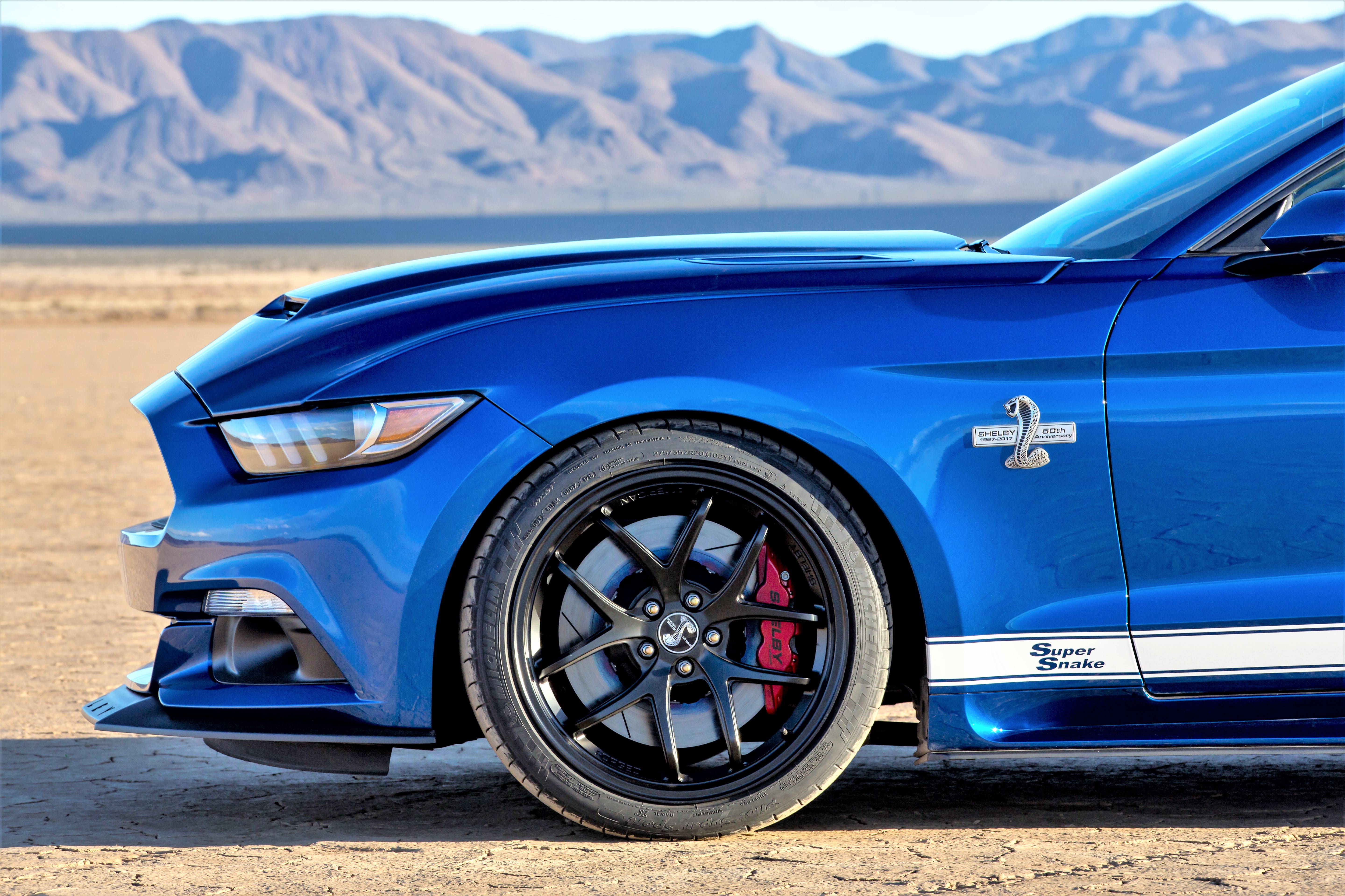 Super Snake 2015 pic