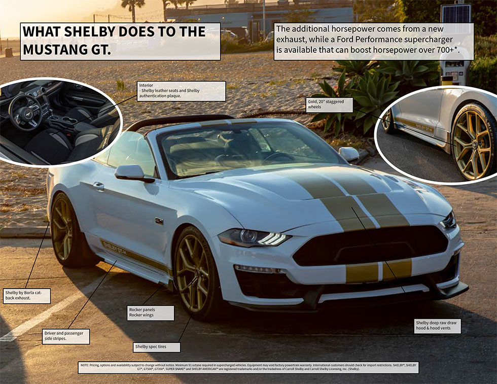 Shelby_Supersnake_Web_Data_Sheet