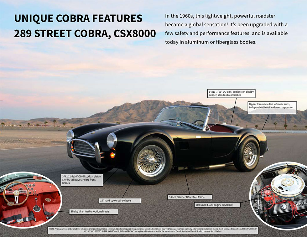 Shelby 289 Street Cobra (CSX8000)